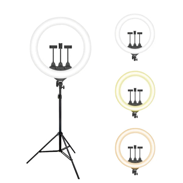 LED Ring Light – Éclairage Circulaire avec Support Téléphone